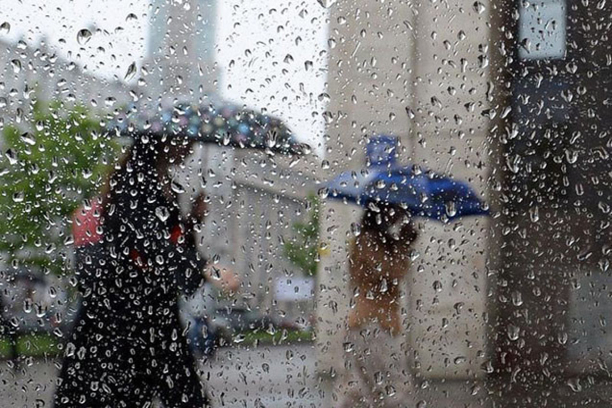 image-66bb52dc18cae66bb52dc18caf172355247666bb52dc18cac66bb52dc18cad