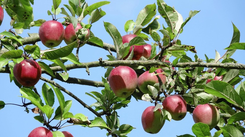 image-66bf166302e8bd07567489c5