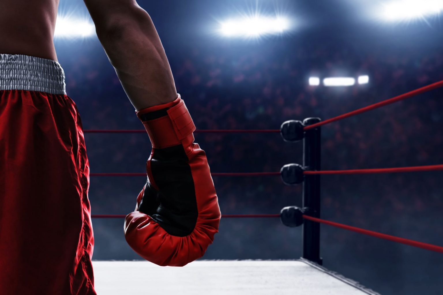 image-1650955219_1648058557_boks-2020-1536x1023-1
