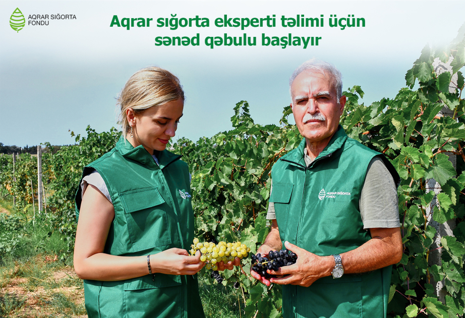 image-17255461675746659717_1200x630