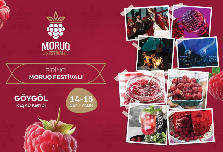 image-17260456045321839744_1200x630