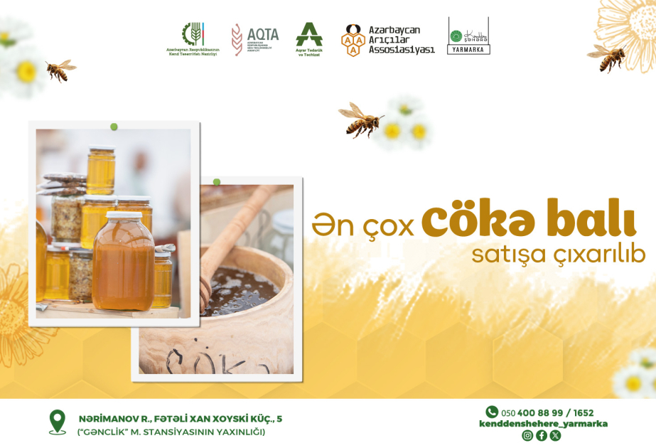 image-17266541324208855163_1200x630