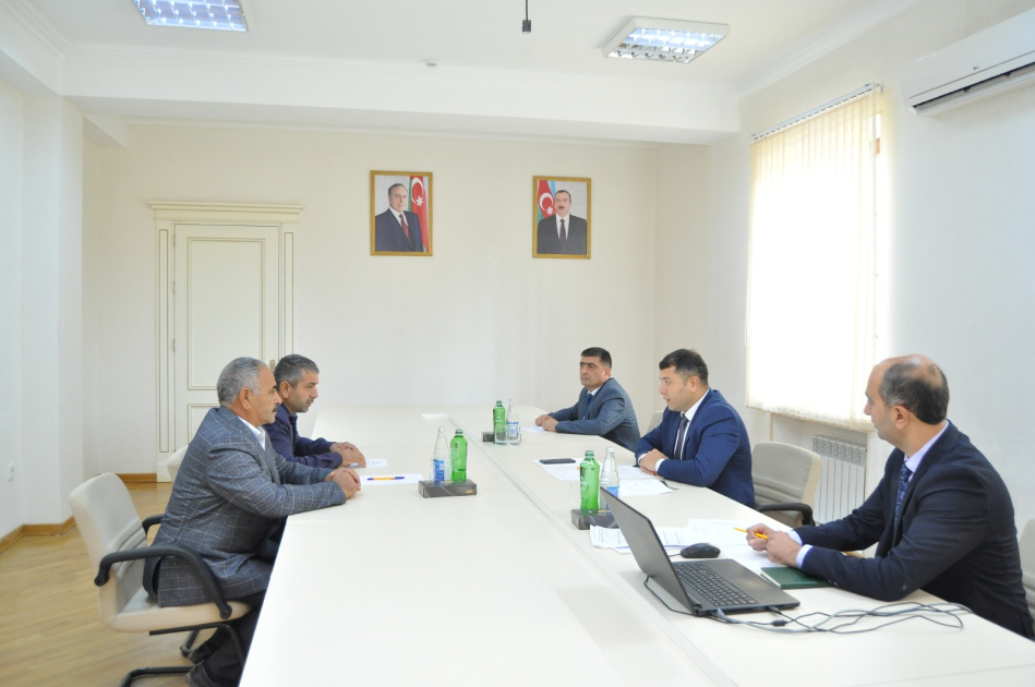 image-17271778802092264207_1200x630