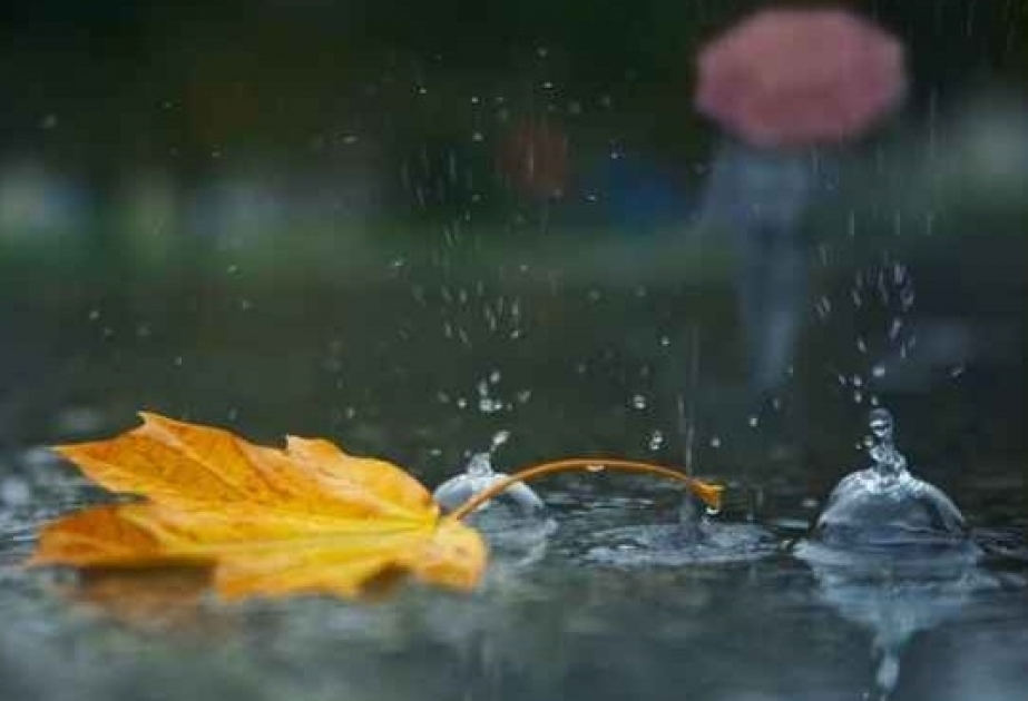 image-2023_11_01_14804_3