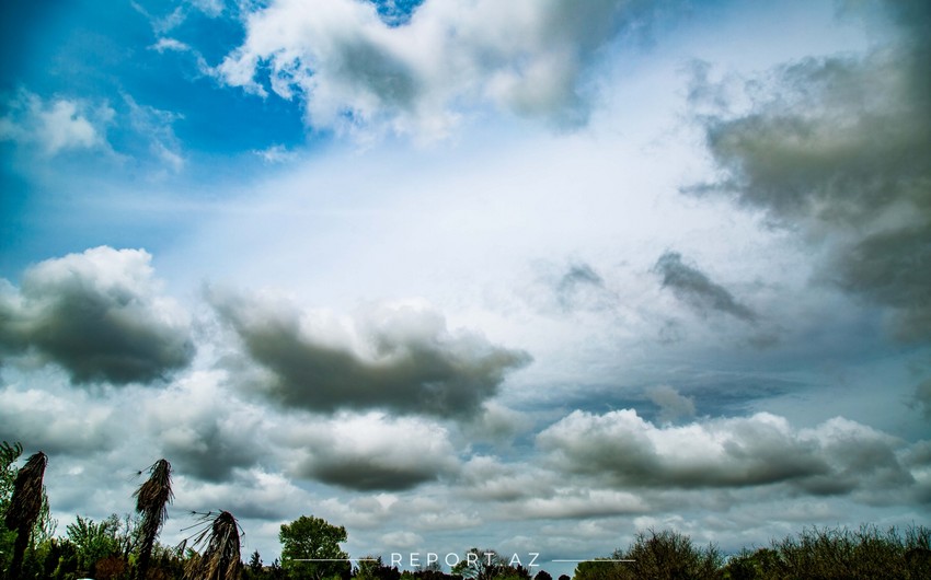 image-130ca58a-3bf6-3f66-a3ba-b1122845758d_850