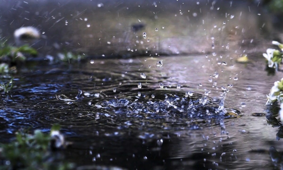 image-1721971114_photo_5267491850984482124_y