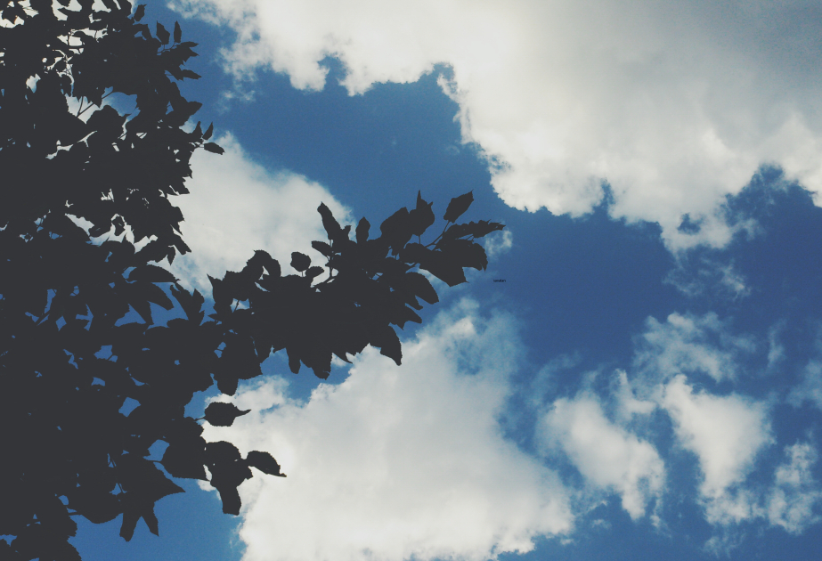 image-17279462194731940610_1200x630