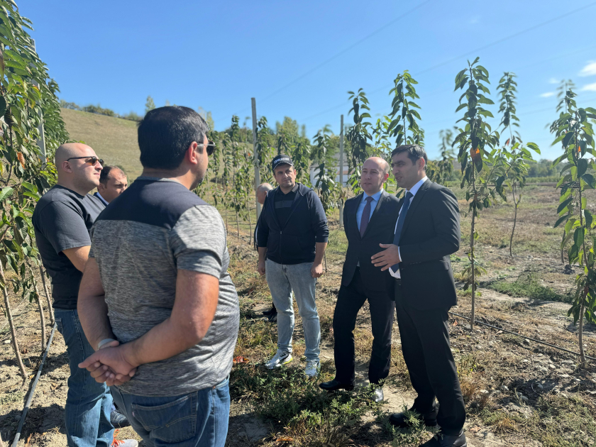 image-17280425075946644199_1200x630