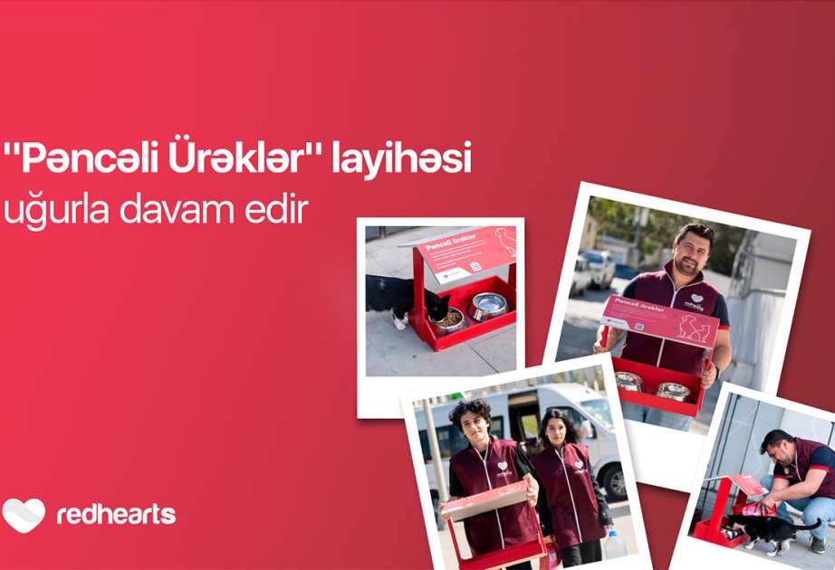 image-17284606606483618589_1200x630