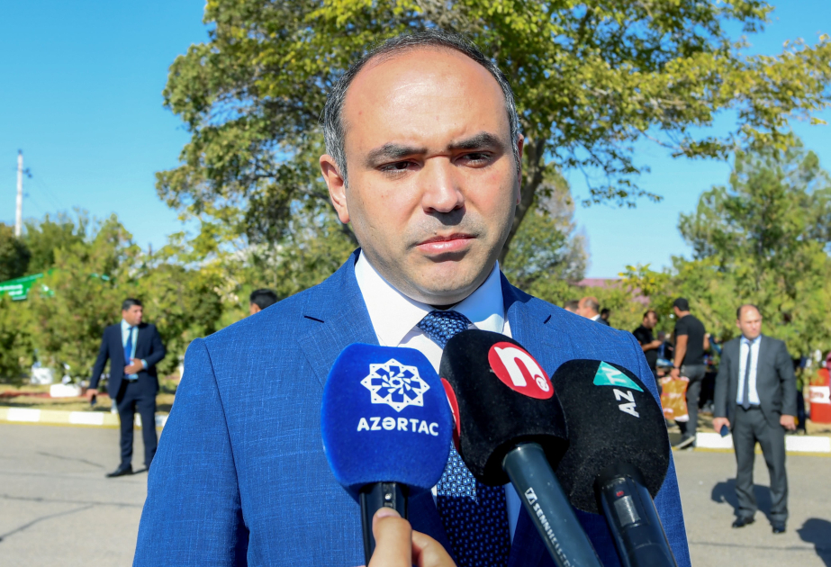 image-17285432026184511625_1200x630