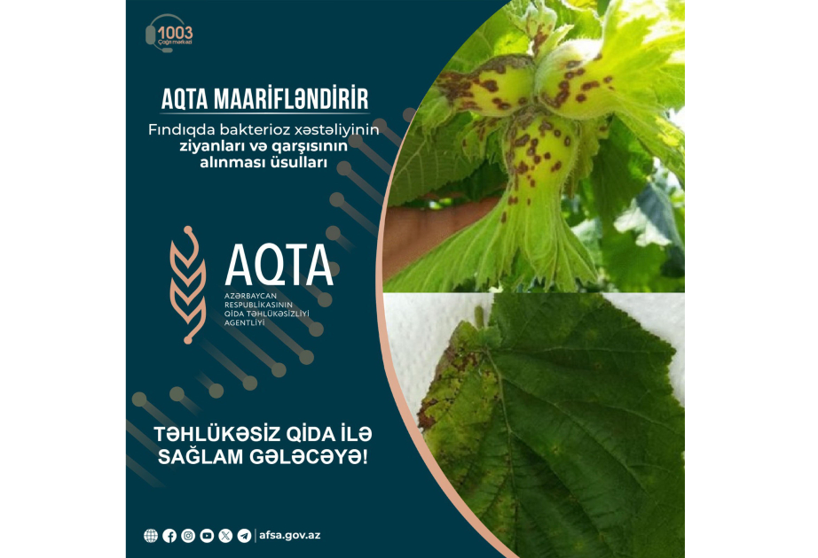 image-17286416514313447474_1200x630