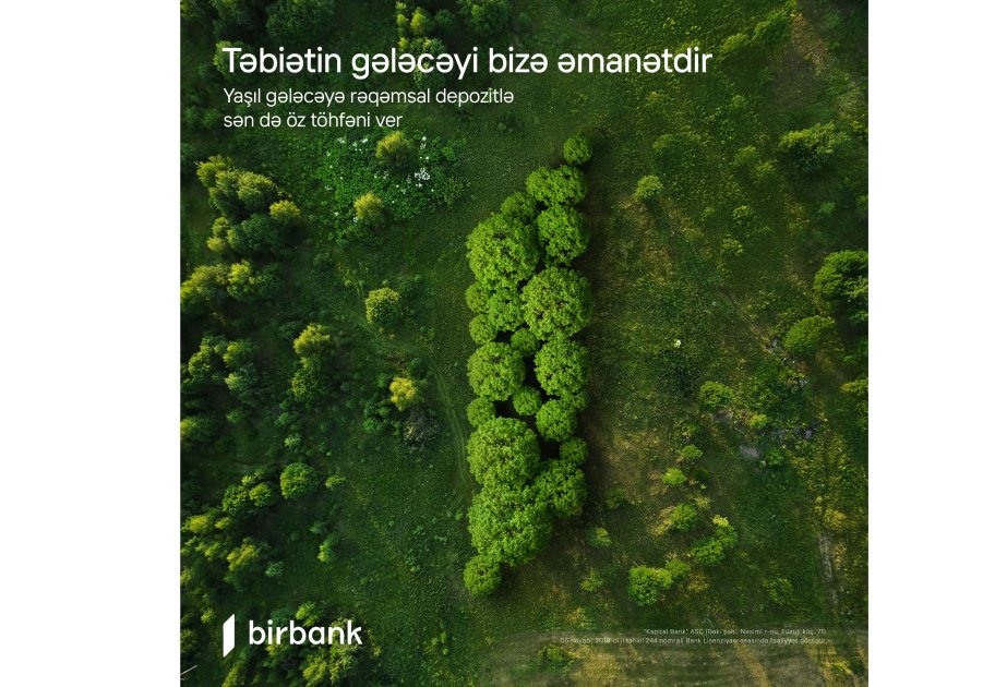 image-17289916142499118710_1200x630