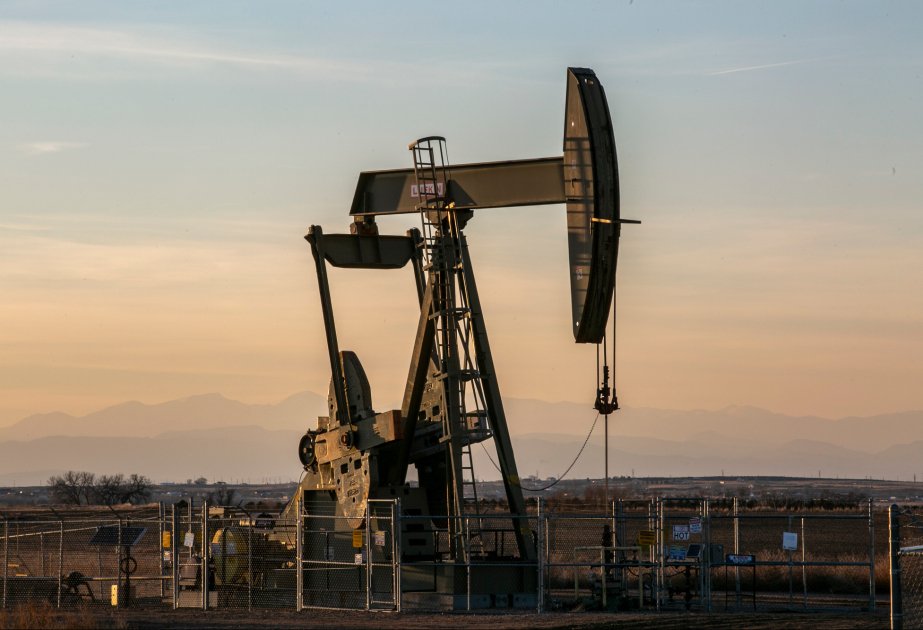 image-1729232480920664149_1200x630