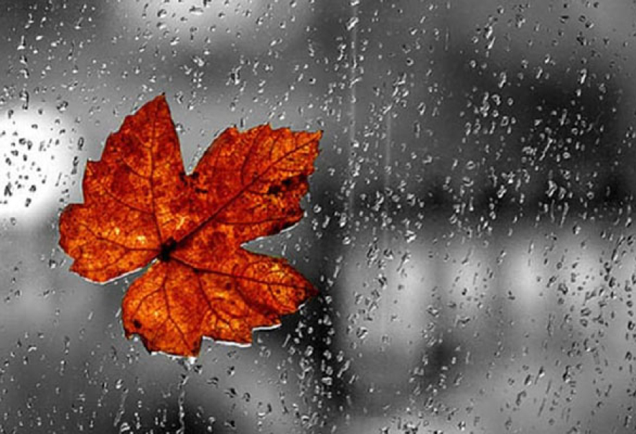 image-17301076476236619585_1200x630