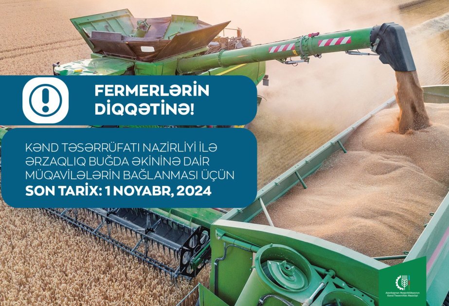 image-1730202256529589722_1200x630