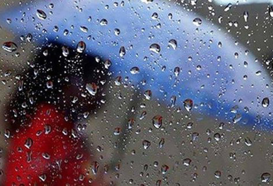 image-17302769064619237644_1200x630