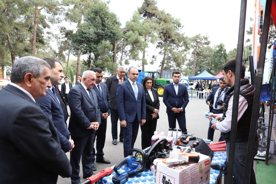 image-1730364861333322431_1200x630