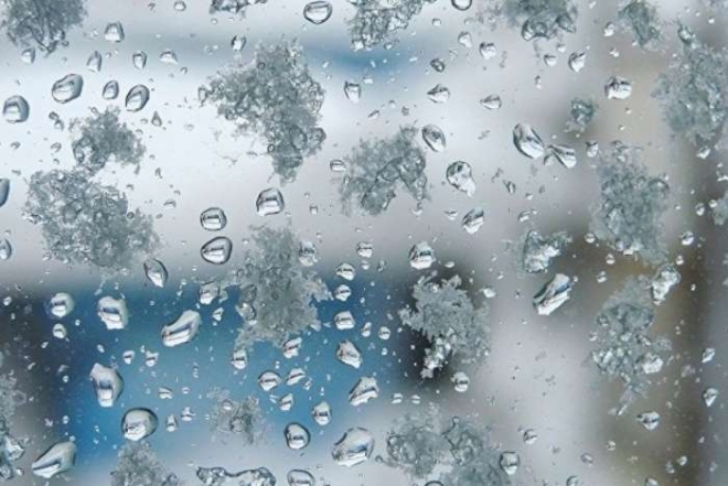 image-image_660x441_6716257927777