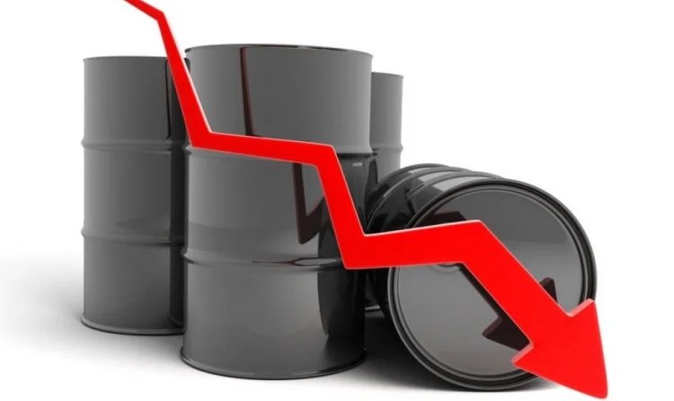 image-image_750x_66307efd6d07e-750-1080-resize