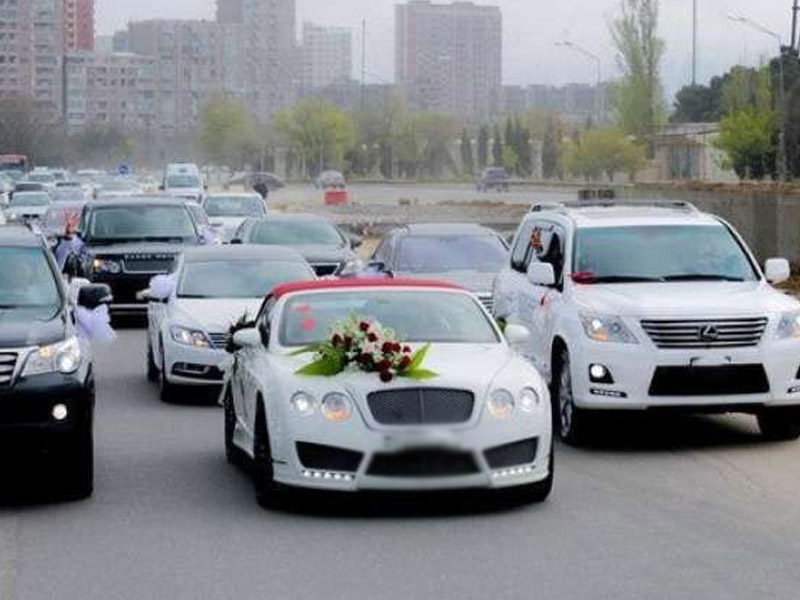 image-toy_karvani_005