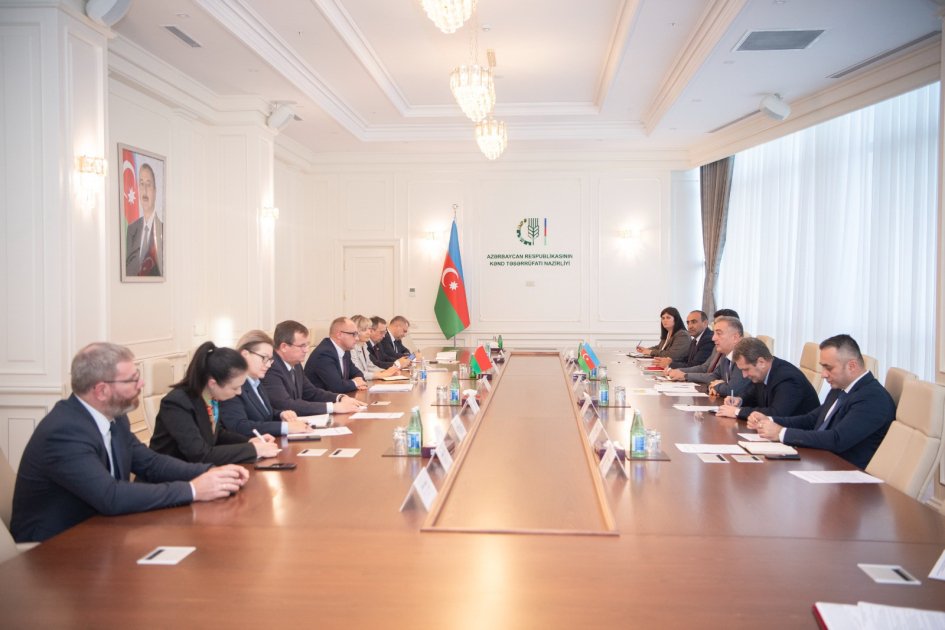 image-17304674451923753234_1200x630