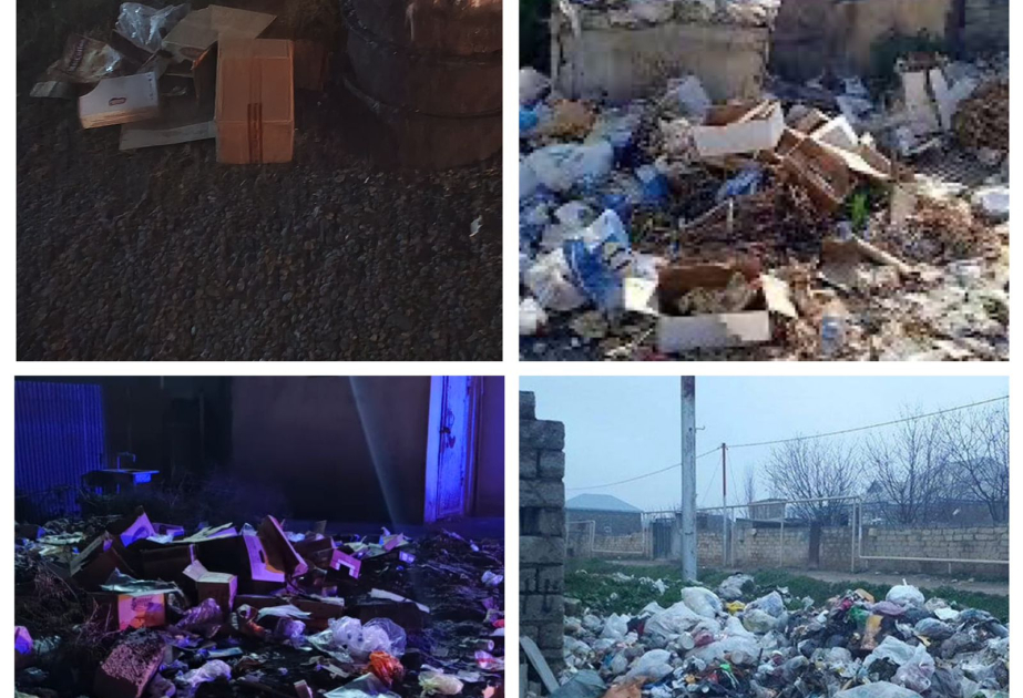 image-17304849261434463077_1200x630