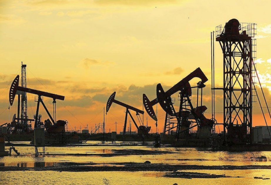 image-16930304902047124492_1200x630