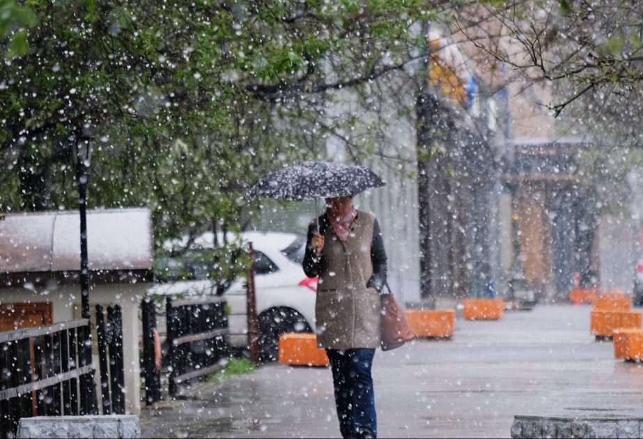 image-17340792284373018746_1200x630