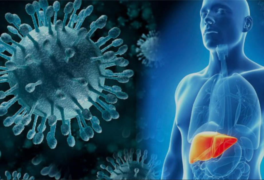 image-17343166955817154627_1200x630