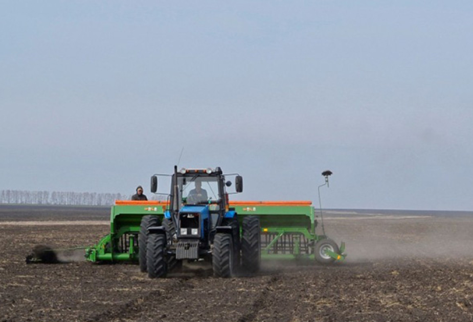 image-1735195774189453944_1200x630