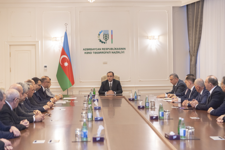 image-17354587685292521785_1200x630