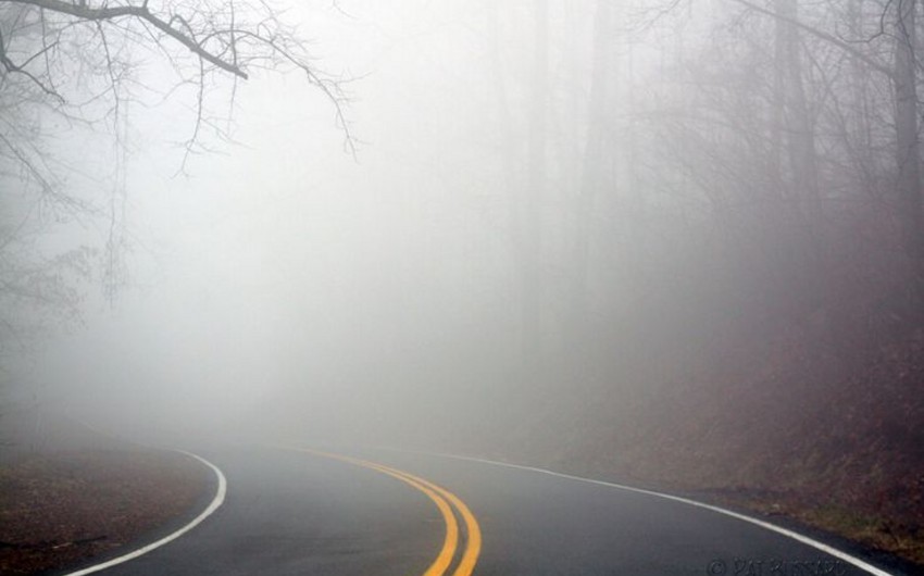 image-20220225221348_57344900