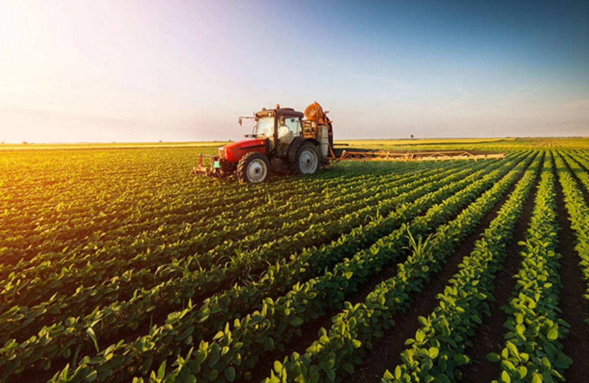 image-2k7hvqiwtoi83segvcxsafkfiif6laxfc9bezgew_1200