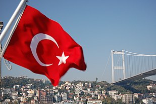 image-309px-turkey_flag