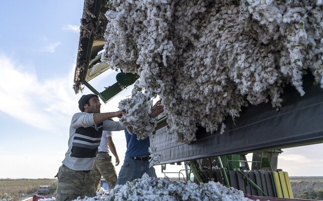 image-d318ae9a-f159-399f-9323-bd0f90f7e959_850