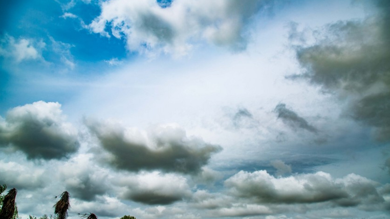 image-ekran_skli_2024-12-14_161932