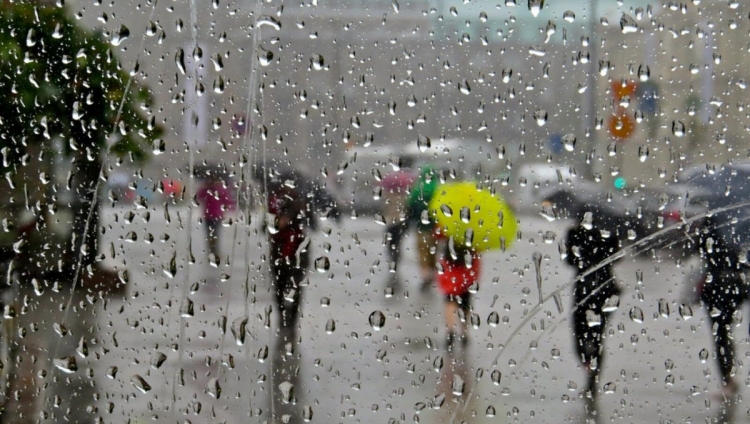 image-image_750x_648728f5bacdf