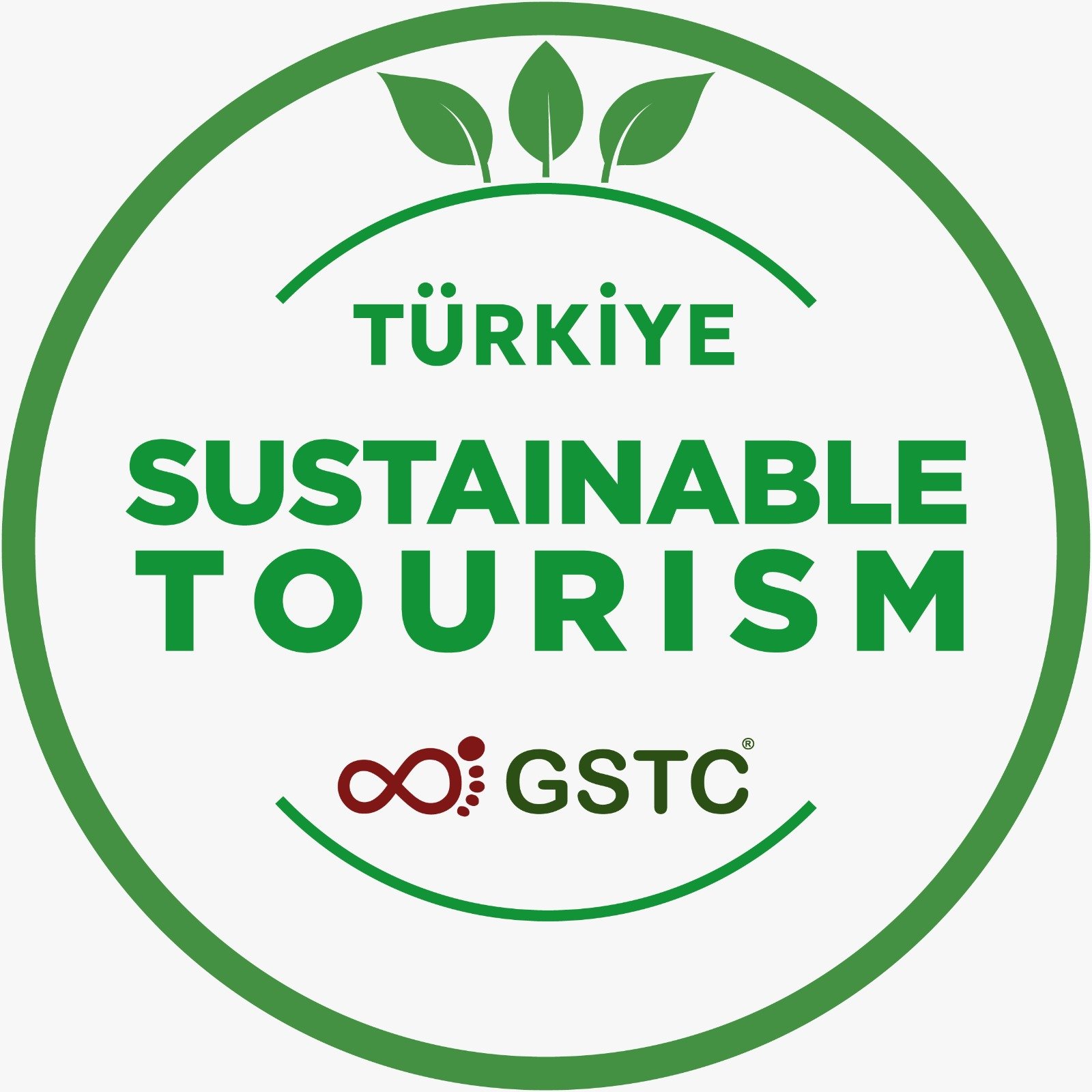 image-img-20241218-wa0216