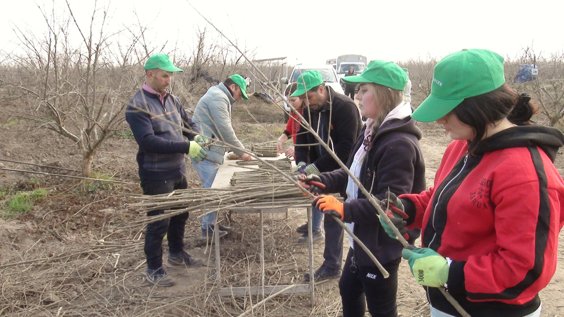 image-17377109761938127005_1200x630