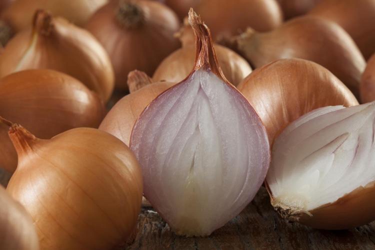 image-onion