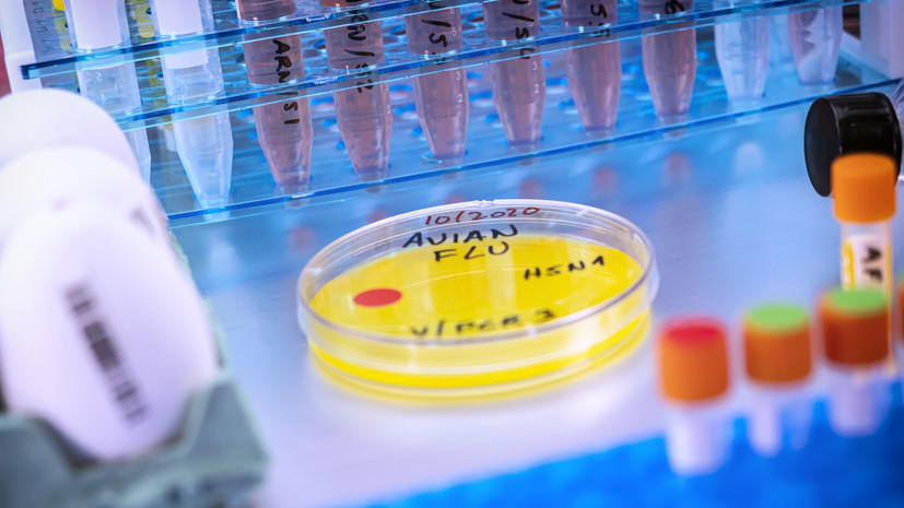 image-677cd70aae5ac936cf298cab