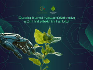 image-17447088975717248708_1200x630