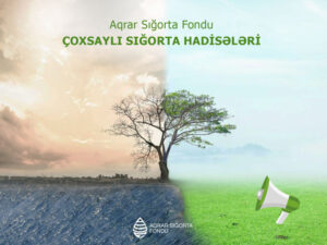 image-17452189241218160672_1200x630