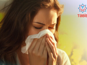 image-17453042715747644377_1200x630-1