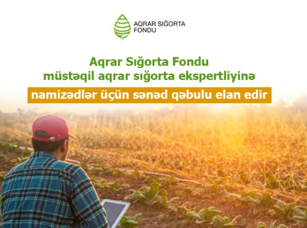 image-1745310341616697493_1200x630