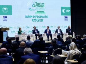 image-17453270172334433414_1200x630