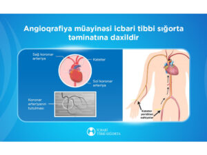 image-17454781782069049894_1200x630