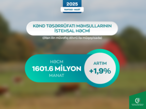 image-1745478329372004176_1200x630