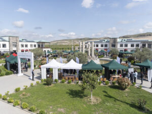 image-17460199635544128586_1200x630