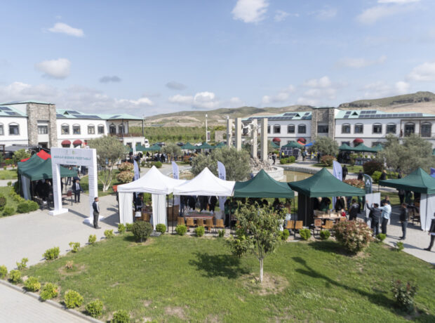 image-17460199635544128586_1200x630